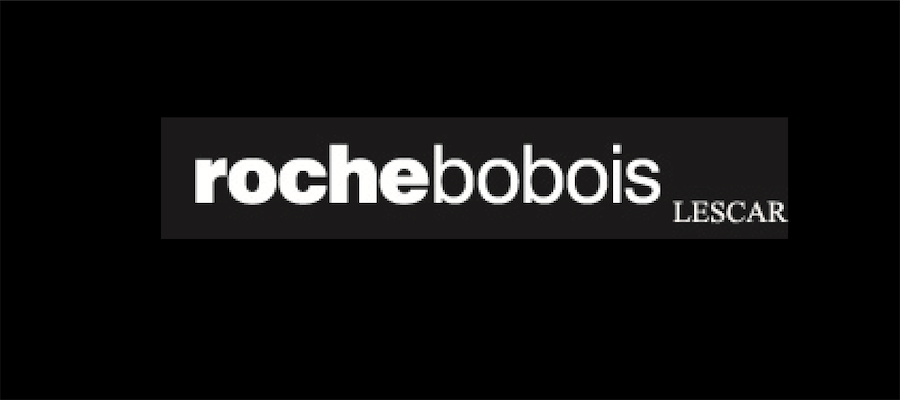 ROCHE BOBOIS CUIR CENTER